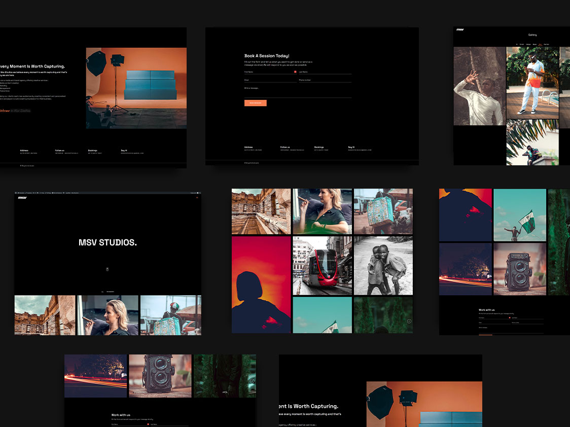 An image showing the msv studios website